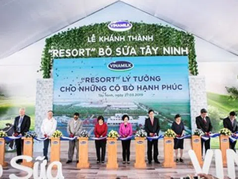 Hệ thống trang trại bò sữa Vinamilk đạt mức tăng trưởng ấn tượng