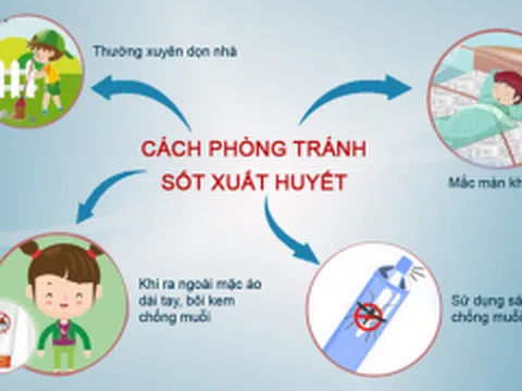 Bộ Y tế chỉ cách phòng bệnh sốt xuất huyết hiệu quả