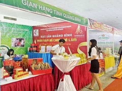 TP. Hồ Chí Minh: 531 doanh nghiệp tham gia Chương trình kết nối cung - cầu hàng hóa năm 2020