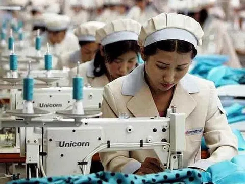 ILO: Tổn thất thời giờ làm việc toàn cầu trong quý IV ước tính lên đến 8,6%