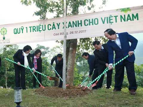 Vinamilk chung tay cùng người dân trồng cây gây rừng, góp phần tăng thu nhập cho người dân