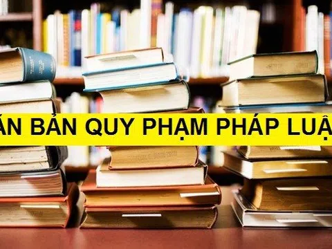 Bãi bỏ 82 văn bản quy phạm pháp luật do Chính phủ ban hành