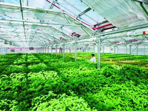 Thủ tướng ký Quyết định thành lập Khu nông nghiệp công nghệ cao Thái Nguyên