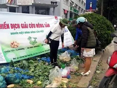 Hải Phòng “ngăn sông cấm chợ” nông sản Hải Dương: Điệp khúc “giải cứu” đến bao giờ?