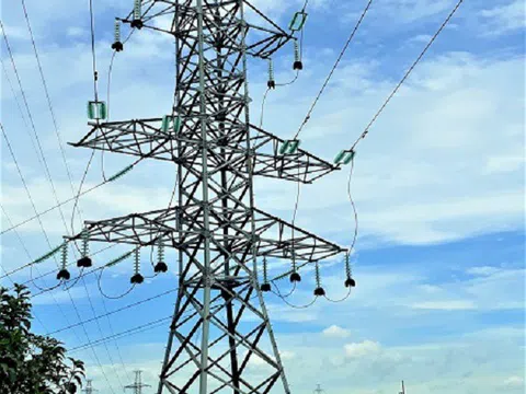 Điện lực Ninh Bình xử lý kịp thời các trường hợp có nguy cơ gây sự cố đối với hành lang lưới điện
