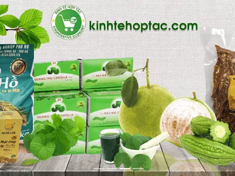 Thừa Thiên Huế: Khai trương sàn thương mại điện tử kinhtehoptac.com