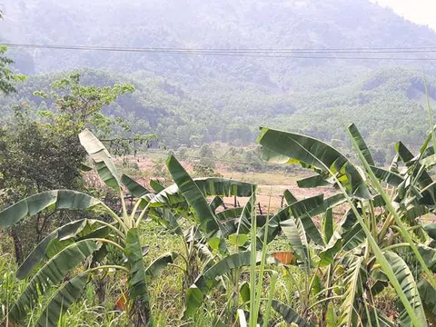 Xã Đại Hồng-H. Đại Lộc (Quảng Nam): Người dân "tố" doanh nghiệp trộm đất bán cho nhà máy gạch