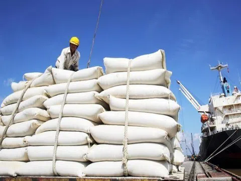 Bộ Tài chính đề nghị Bộ Công an điều tra thông tin tiêu cực trong xuất khẩu gạo