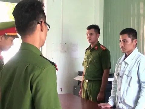 Kon Tum: Khởi tố thêm một đối tượng trong vụ phá rừng nghiêm trọng tại Đăk Tô