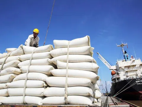 Giá gạo xuất khẩu đạt mức kỷ lục