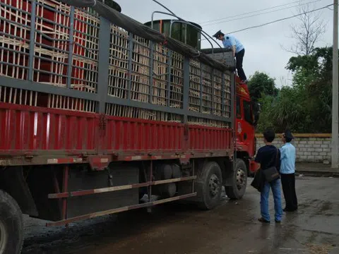 Lạng Sơn: Khởi tố 200 vụ vi phạm với 293 đối tượng trong 6 tháng đầu năm