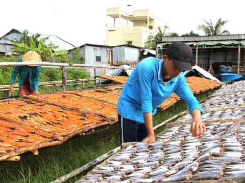 Đồng bằng sông Cửu Long: Tất bật khẩn trương tạo ra nhiều sản phẩm cung ứng cho thị trường tết