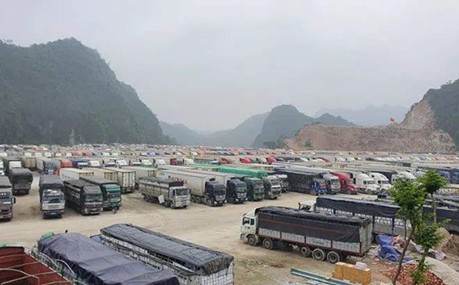 Lạng Sơn đề xuất tạm dừng nhận hàng hóa lên cửa khẩu Tân Thanh