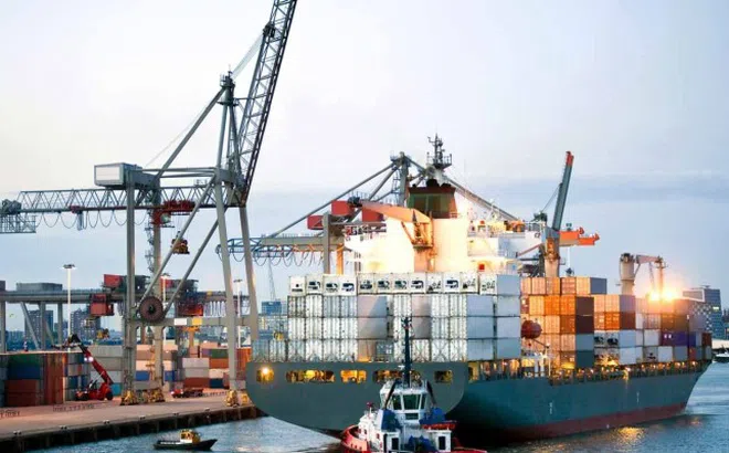 Việt Nam đứng thứ 3 ASEAN về tuyến dịch vụ vận chuyển container quốc tế