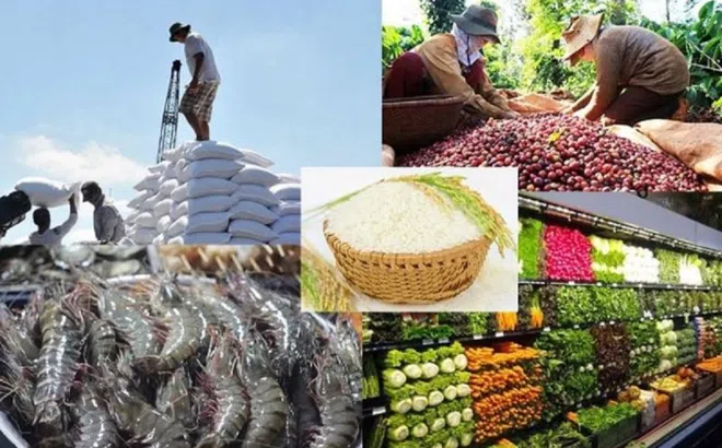 Tăng gói tín dụng hỗ trợ ngành lâm, thủy sản lên 30.000 tỷ đồng là cần thiết và kịp thời