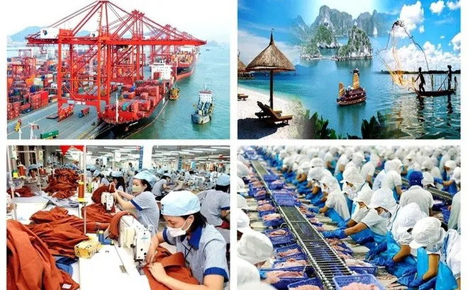 Thu ngân sách Nhà nước 5 tháng đầu năm đạt 52,8% dự toán