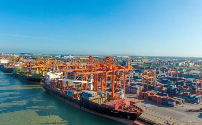 Cước tàu biển tăng gấp đôi, hãng báo giá theo tuần