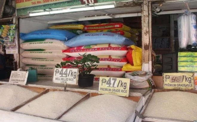 Philippines sẽ cắt giảm thuế nhập khẩu gạo từ mức 35% xuống còn 15%, doanh nghiệp Việt được lợi
