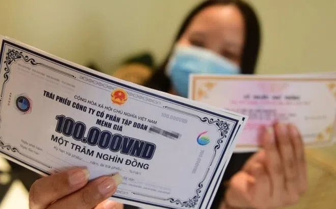 Trái phiếu bền vững ở Việt Nam đạt quy mô 800 triệu USD