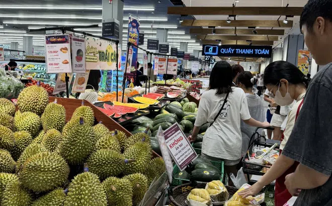 Xuất khẩu rau quả ước tăng 23,4% trong 7 tháng