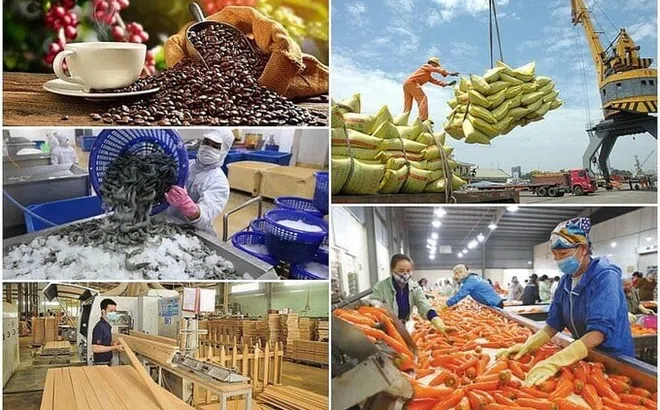 7 tháng, xuất siêu nông lâm thủy sản đạt gần 9,5 tỷ USD