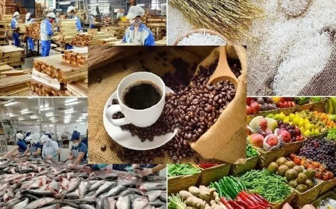 EU đặt ra hàng loạt thách thức mới cho doanh nghiệp xuất khẩu