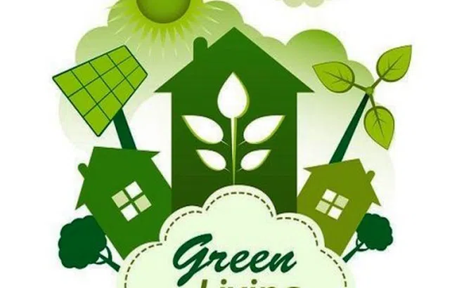 Nhu cầu tiêu dùng sản phẩm xanh tăng 15% mỗi năm