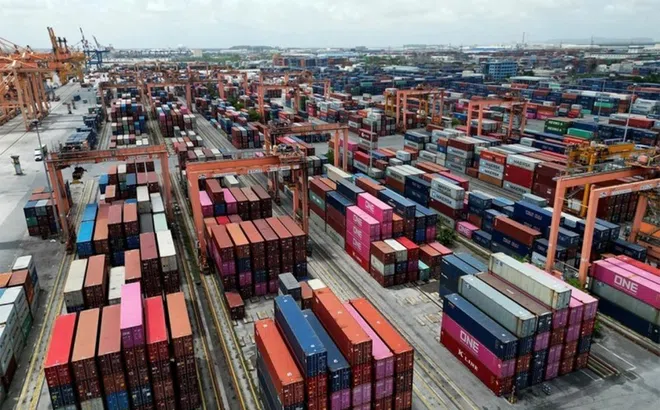 Logistics xanh: Áp lực hay động lực cho doanh nghiệp Việt?