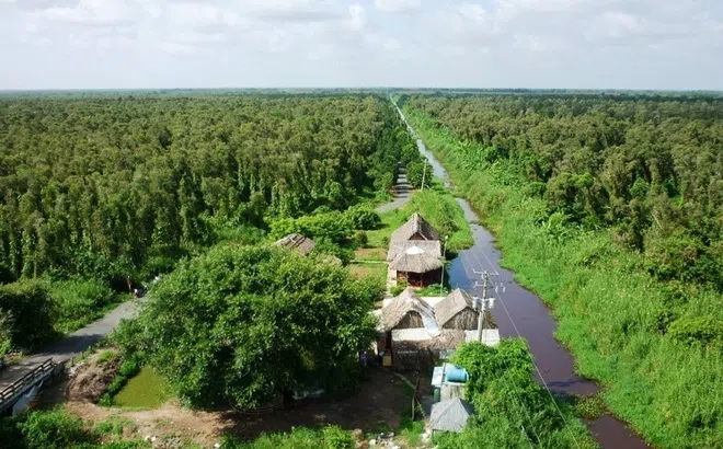 Tạo hành lang pháp lý rõ ràng cho thị trường tín chỉ carbon Việt Nam