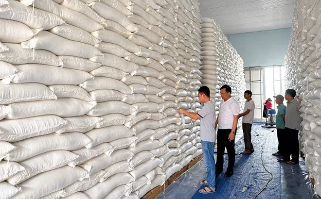 Tuyên Quang, Cao Bằng, Bắc Kạn được xuất cấp cứu đói bị ảnh hưởng bởi cơn bão số 3