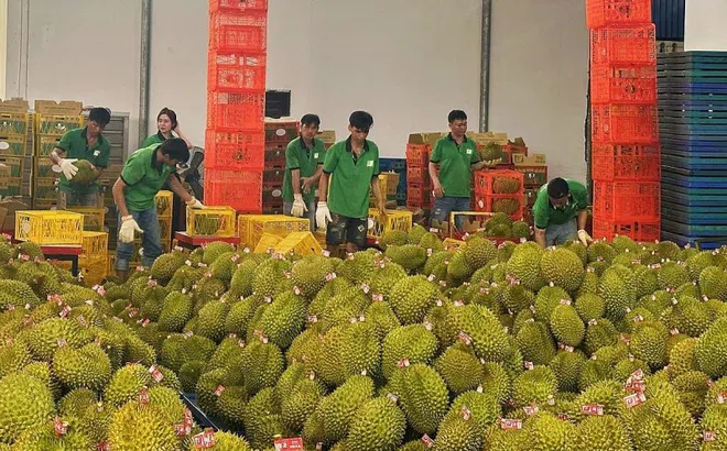 Thương mại Việt Nam - Trung Quốc 11 tháng tiến gần mốc 200 tỷ USD