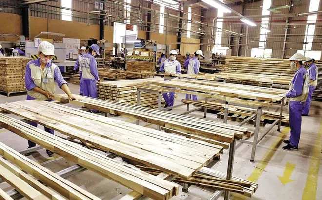 Doanh nghiệp ngành gỗ xây dựng các kịch bản ứng phó chính sách thuế từ Mỹ