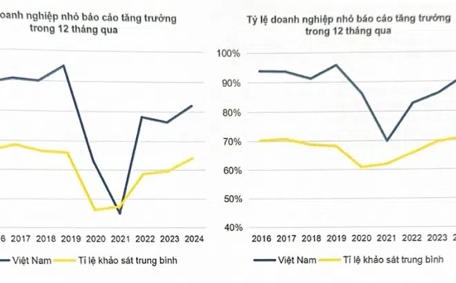 Doanh nghiệp nhỏ Việt Nam tăng trưởng cao nhất 4 năm