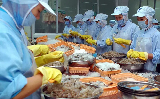 Xuất khẩu thủy sản phục hồi ấn tượng trong quý I/2025