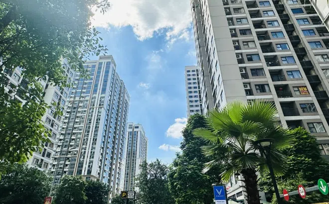 Hà Nội: Giá căn hộ chung cư chững lại sau thời gian tăng nóng