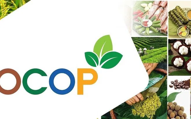 Hà Nội có thêm 14 làng nghề và 108 sản phẩm OCOP đạt 4 sao
