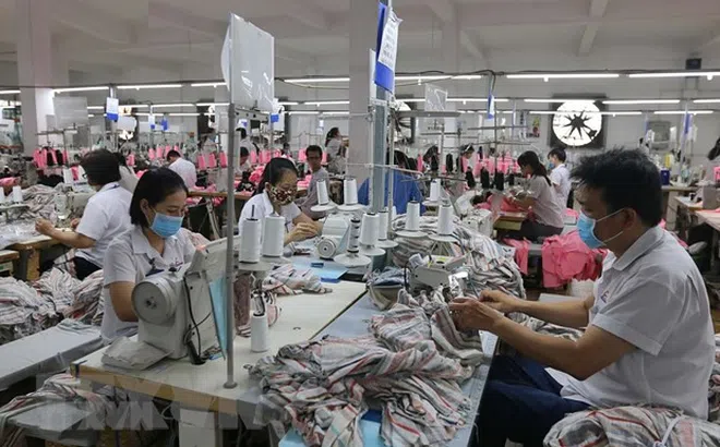 Xuất khẩu hàng Việt sang EU: Cần chiến lược căn cơ, bài bản