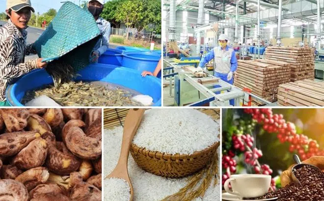 Xuất siêu nông lâm thủy sản đạt khoảng 5,18 tỷ USD