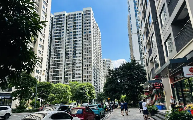 Hướng đầu tư bất động sản trong nửa cuối năm 2025