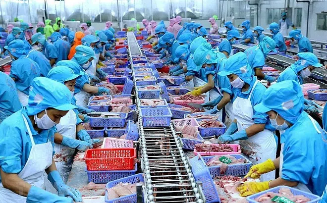 VASEP kiến nghị bảo vệ ngành thủy sản trước nguy cơ thuế quan