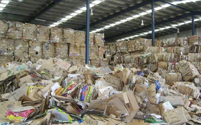Quy định EPR mang đến nhiều cơ hội cho doanh nghiệp ngành giấy