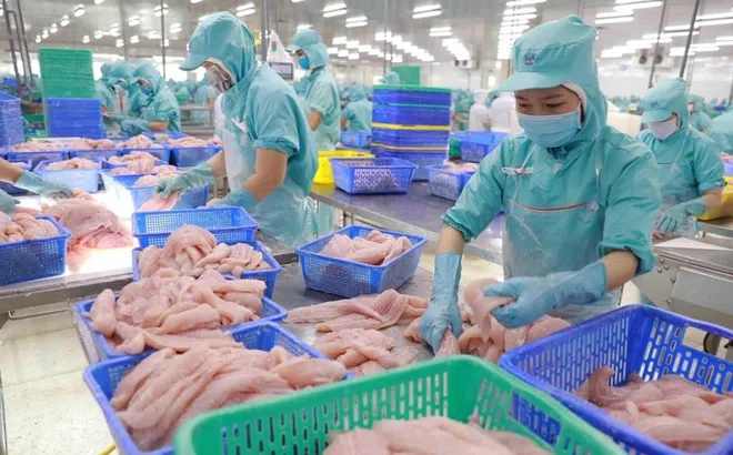 Lần đầu tiên Việt Nam trở thành đối tác cung cấp thủy sản lớn thứ ba cho Singapore