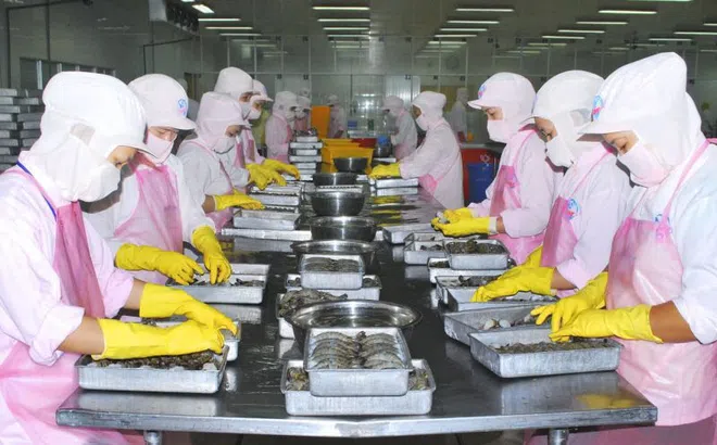 Rà soát lao động có nguy cơ lây nhiễm Covid-19 trước khi xuất cảnh