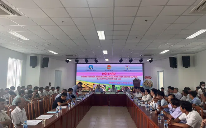 Đồng Nai: Hỗ trợ nông dân tham gia phát triển kinh tế tập thể gắn với tiêu thụ nông sản