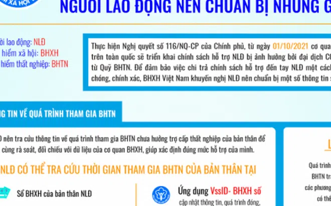 Việc hỗ trợ người lao động từ quỹ bảo hiểm thất nghiệp của nhiều cơ quan còn chậm