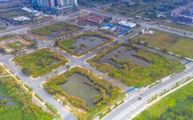 Thủ tướng chỉ đạo ngăn chặn hành vi lợi dụng đấu giá đất gây nhiễu loạn thị trường bất động sản