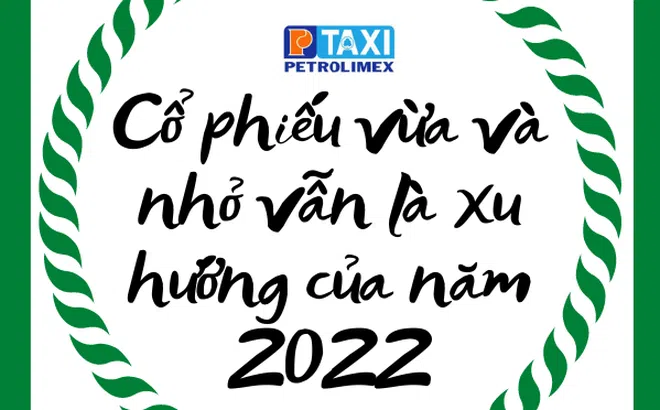 Cổ phiếu vừa và nhỏ vẫn là xu hướng của thị trường chứng khoán Việt Nam năm 2022