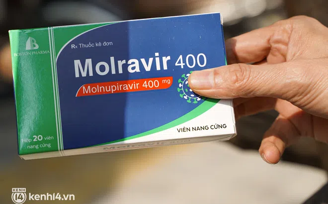 Bộ Y tế khuyến cáo trường hợp không được sử dụng thuốc Molnupiravir