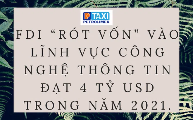 FDI “Rót vốn” vào lĩnh vực công nghệ thông tin đạt 4 tỷ USD trong năm 2021.