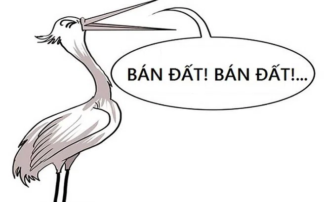 Làm 'cò' đất mà không có chứng chỉ hành nghề có thể bị phạt hàng chục triệu đồng?